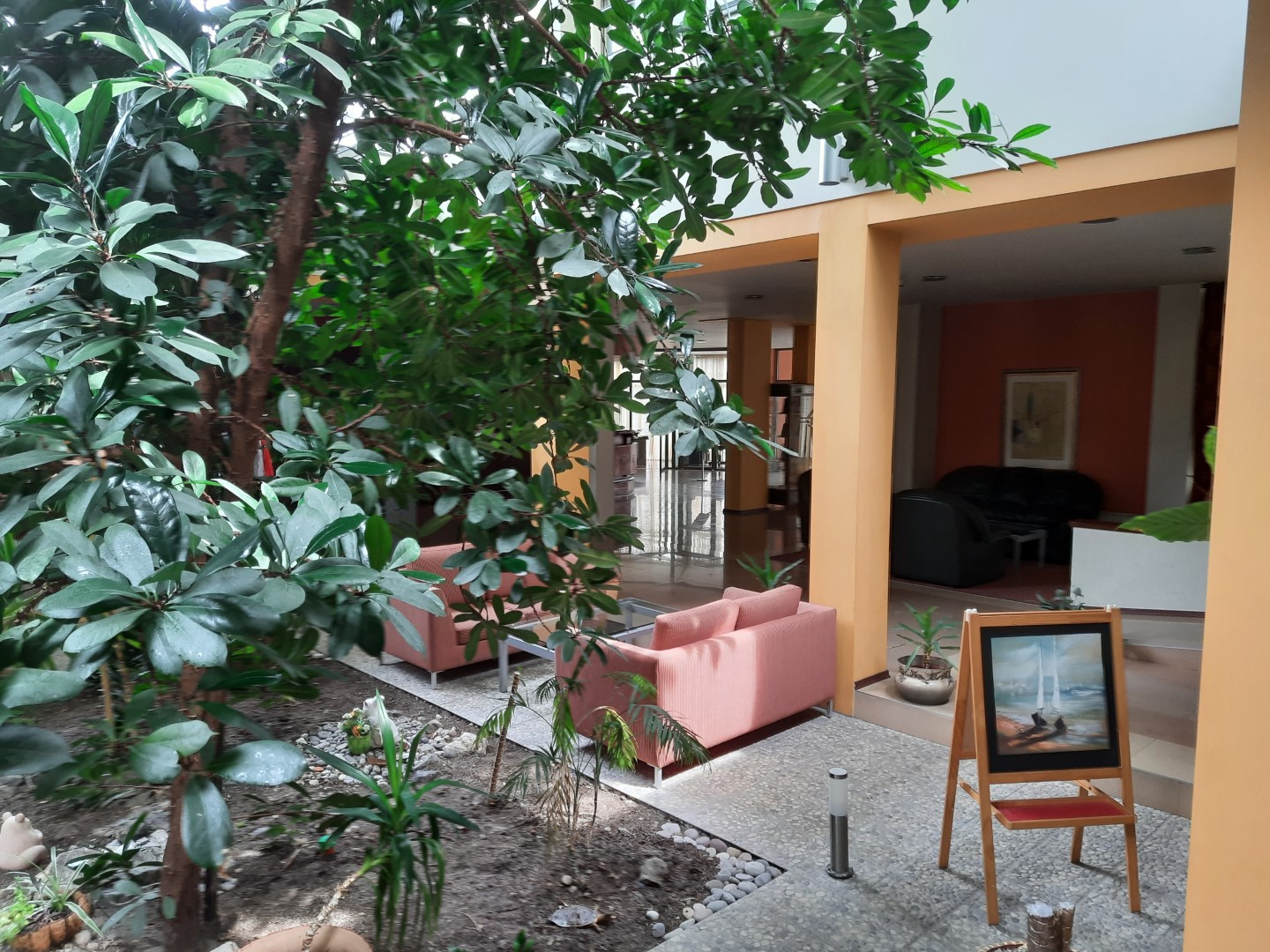 a huge ficus inside of a building