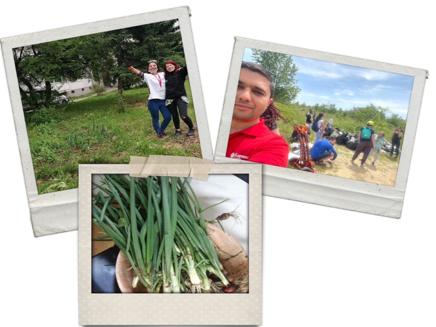 a collage of 3 images with gardening activities