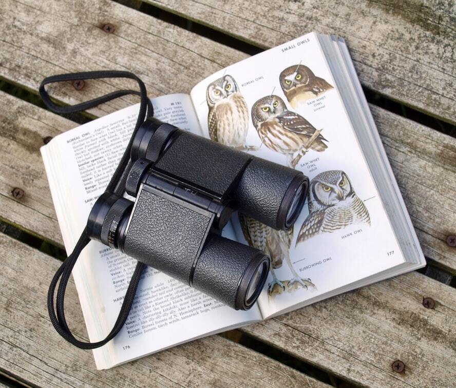 binoculars and a book with birds