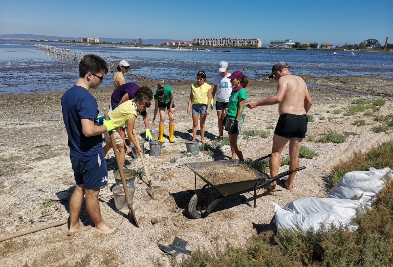 a group of working volunteers