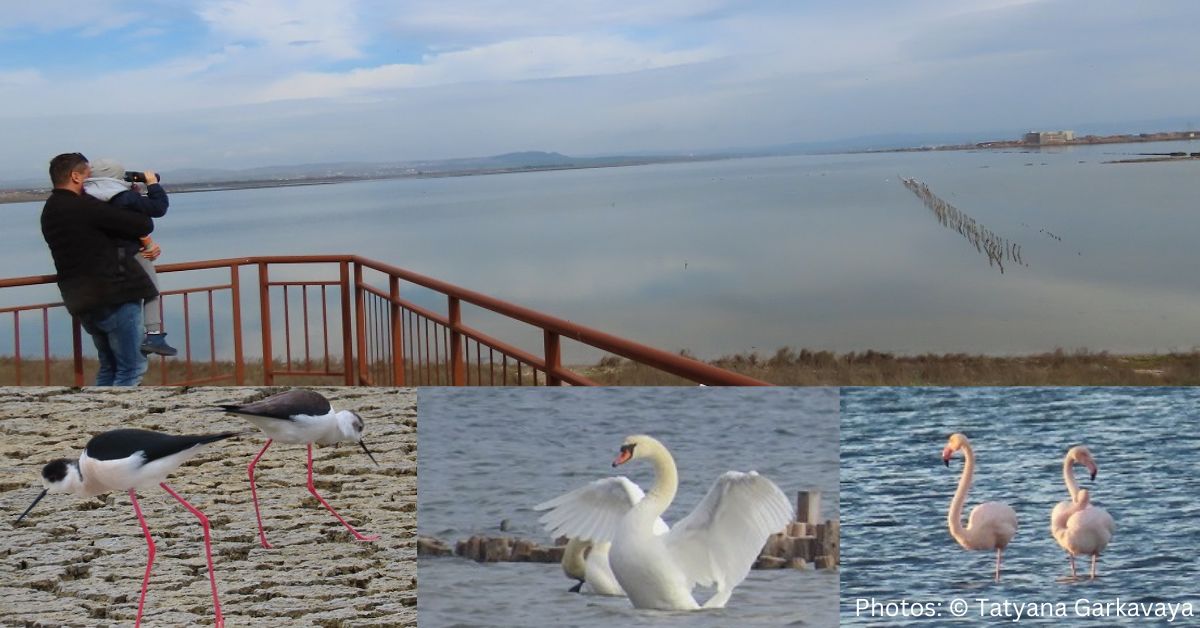 a man holds a boy with binoculars watching flamingos at pomorie lake