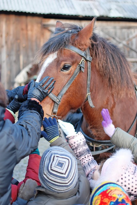 children pet a horse