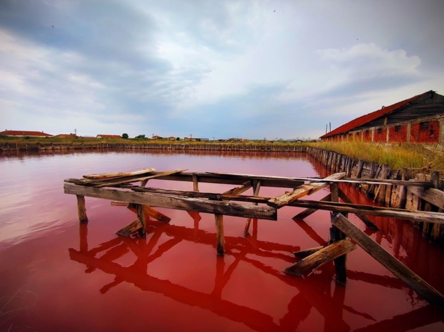 pink salt of burgas lakes