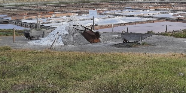 a pile of salt and troleys by a lake