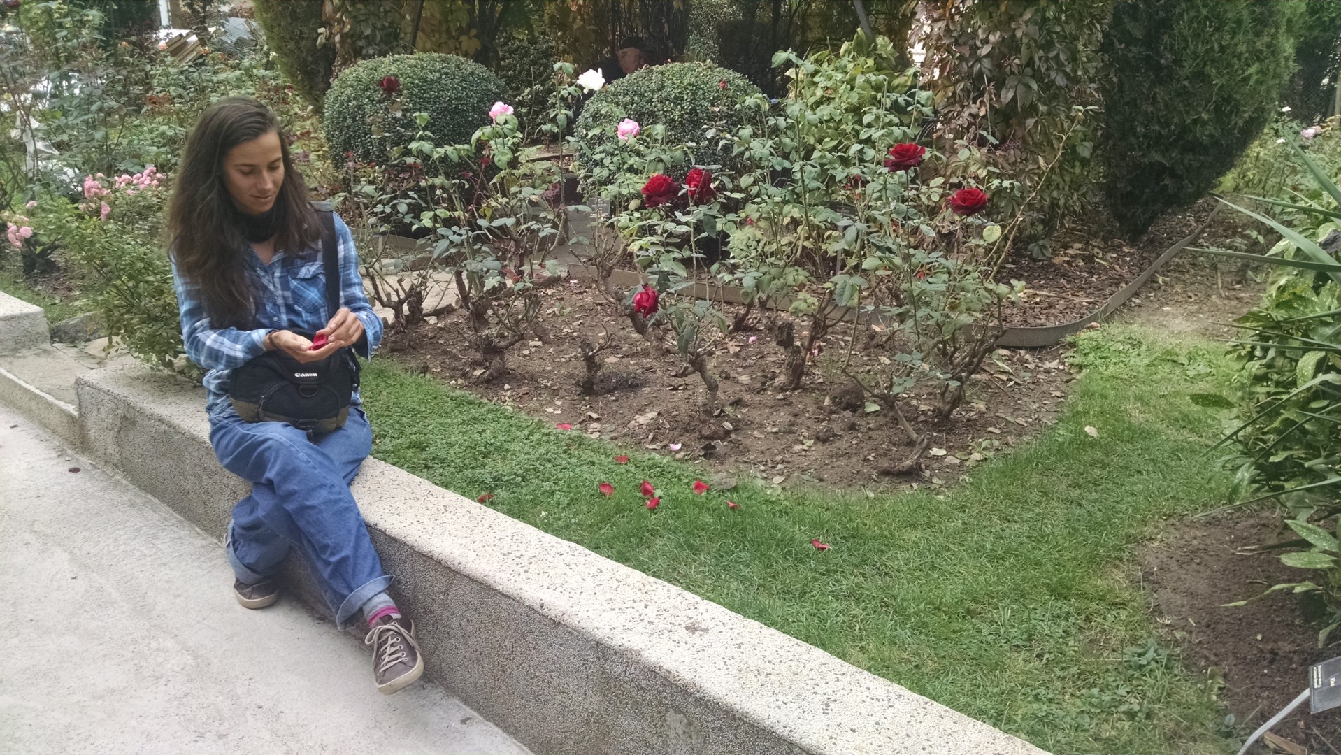 a girl touching roses