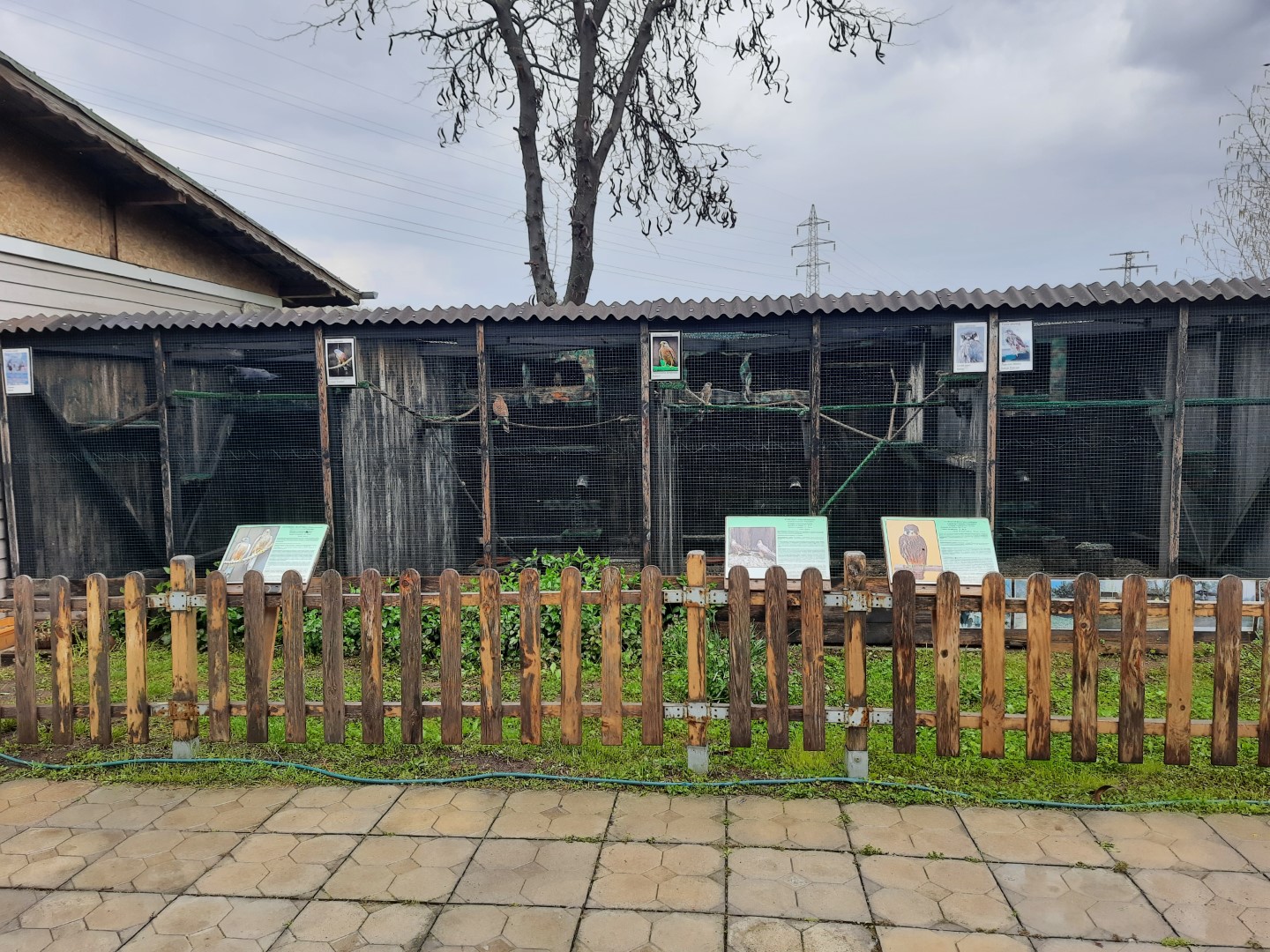 cages with birds